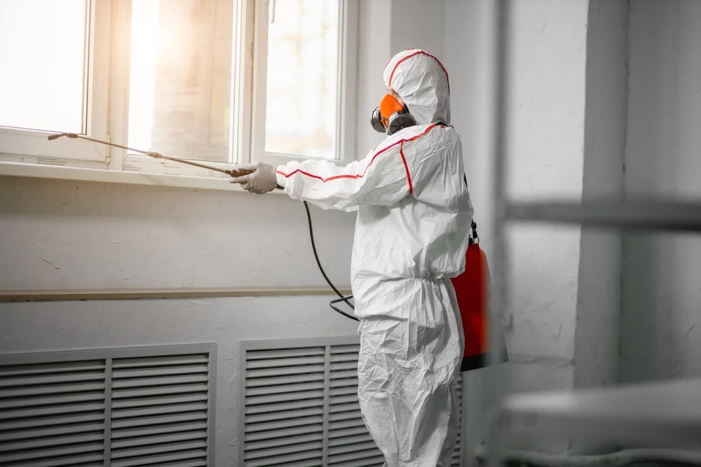 Professional mold remediation services in Bailey, CO